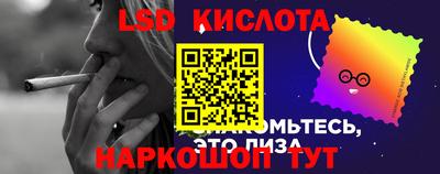 гидра Партизанск