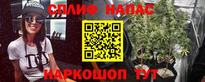 гидра Партизанск